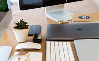 Taliesin 与 Evitel 每周重置：全新房屋装饰与插件定稿